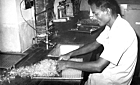 early 1970s Bangladesh. Arranging glass vials for shelf-drying
