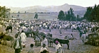  Ethiopia. Market