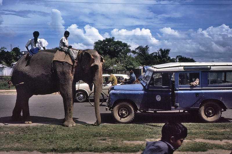 1975 Bangladesh. Elephant to carry reward poster