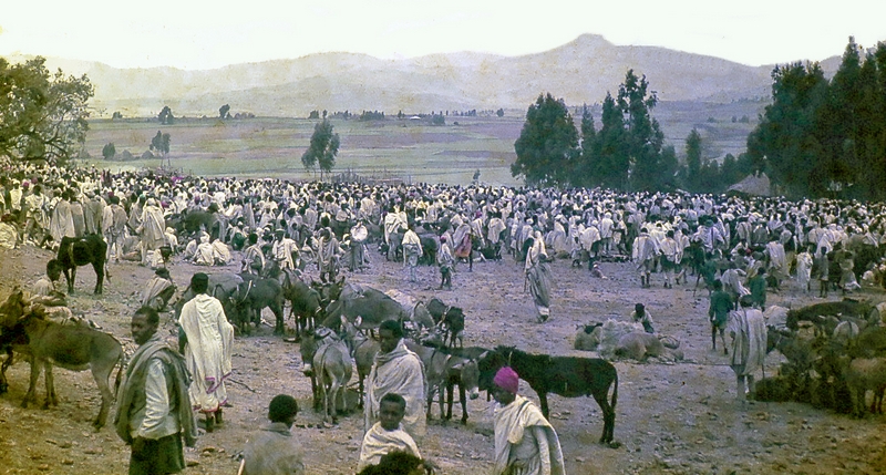 1971 Ethiopia. C Kilmer, T Getahun, G Bartley